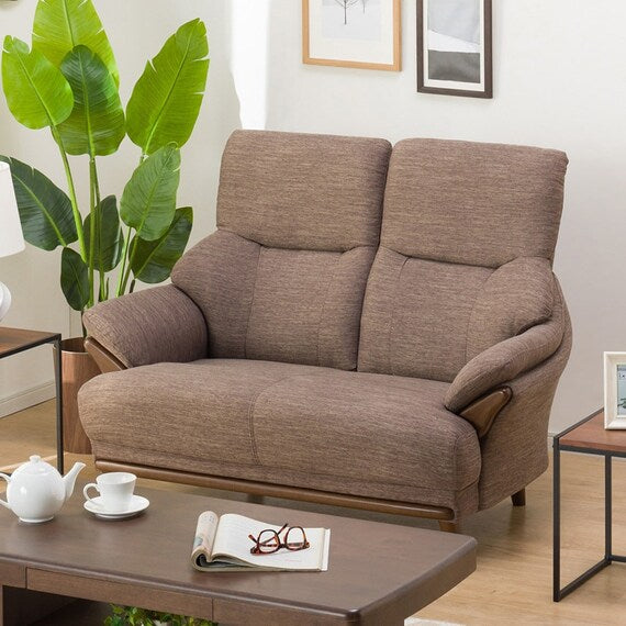 SOFA 2P KOTEI3-HD DR-DMO