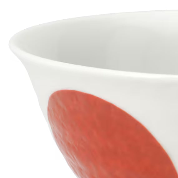 RICE BOWL LIGHTWEIGHT KINSAI-MARUMON2 RE