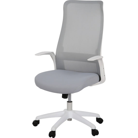 GHẾ VĂN PHÒNG OC105 GY/WH