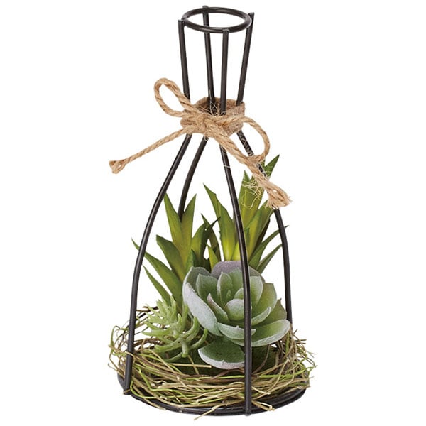 Succulent in Bottole Stand HA324831MIX