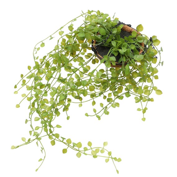 CÂY CHUỖI TIM TREO DÂY THÉP