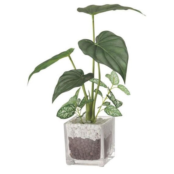 CHẬU THỦY TINH CÂY MÔN CẢNH 31CM