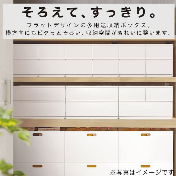 DRAWER_N_INBOX2_V_HALF_3TIER_WH