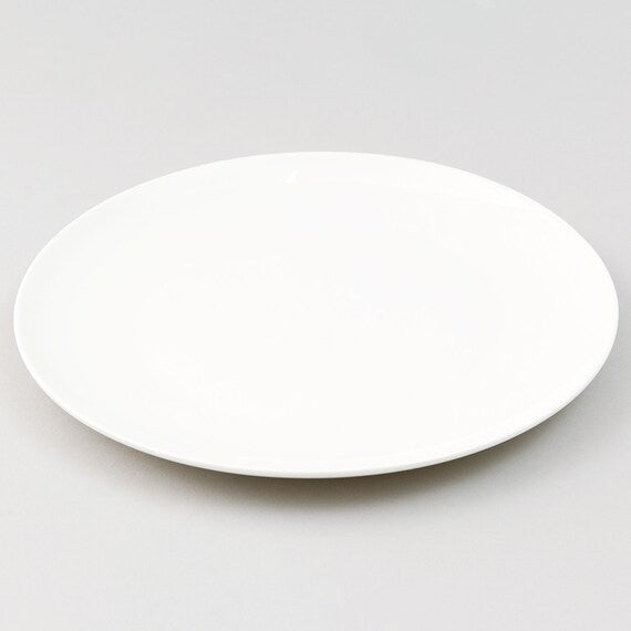 PLATE 24CM A25752 D24XH2.5