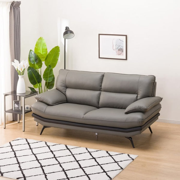 2.5P SOFA LOZO KD GY LEATHER
