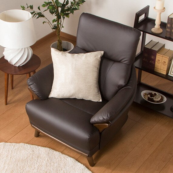 1S-SOFA N-SHIELD KOTEI3 DBR