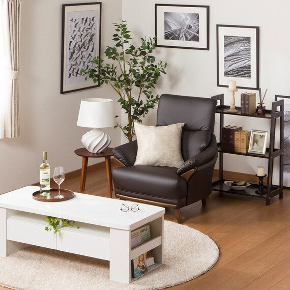 1S-SOFA N-SHIELD KOTEI3 DBR