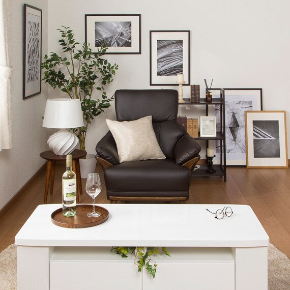 1S-SOFA N-SHIELD KOTEI3 DBR