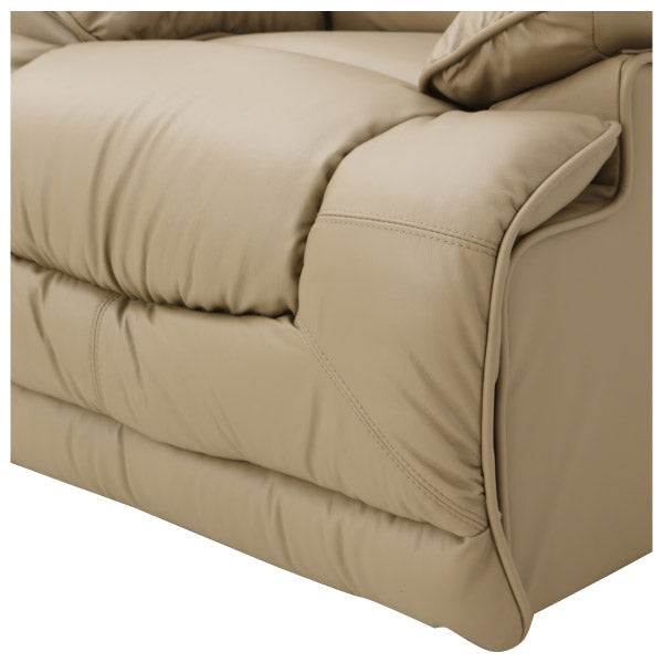 1SEATER ELECTRIC SOFA HIT MO