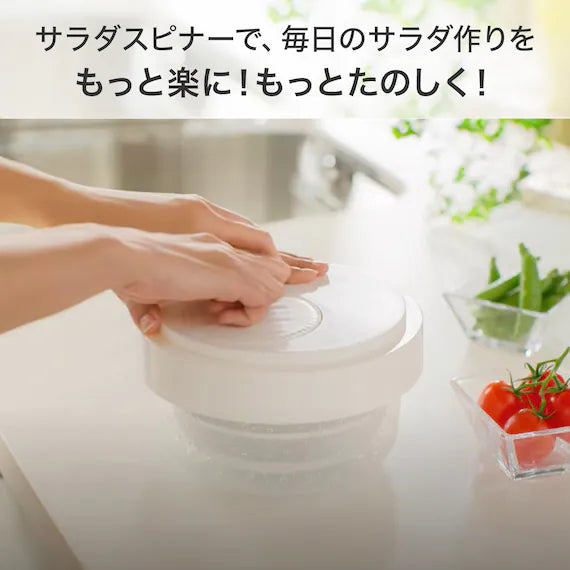 10-IN-1 VEGETABLE SLICER SPINNER SET KY026
