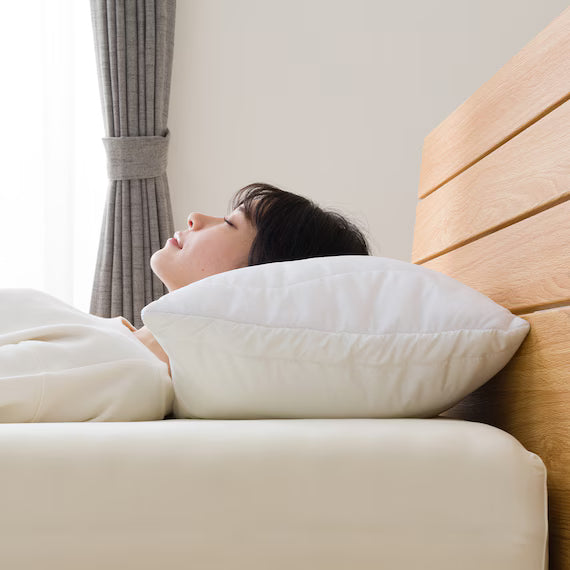 VỎ BẢO VỆ GỐI REVERSIBLE DRY 3