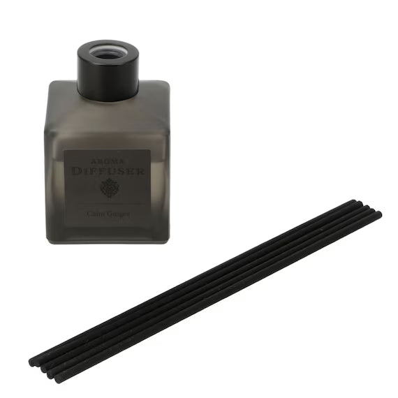 AROMA DIFFUSER 100 LX 24268 FBK