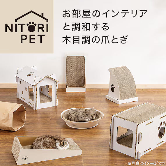 BÁT CÀO MÓNG MÈO DẠNG TÔ