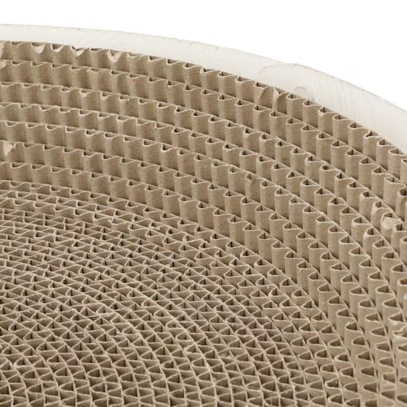 BÁT CÀO MÓNG MÈO DẠNG TÔ