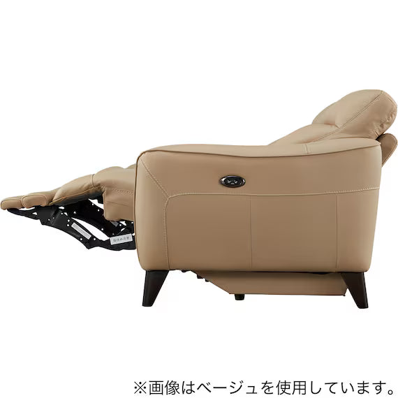 ELECTRIC 3P SOFA LS06 NW DGR