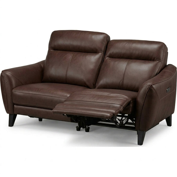 ELECTRIC 2P SOFA LS06 SK DBR