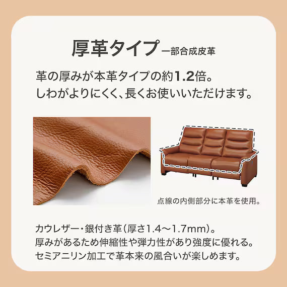 2P ELECTRIC SOFA N-BELIEVA 3 TK-LEATHER DBR