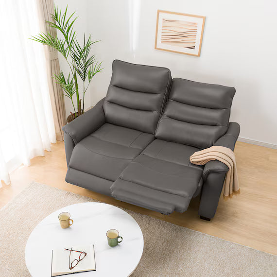 2P ELECTRIC SOFA N-BELIEVA 3 TK-LEATHER DBR