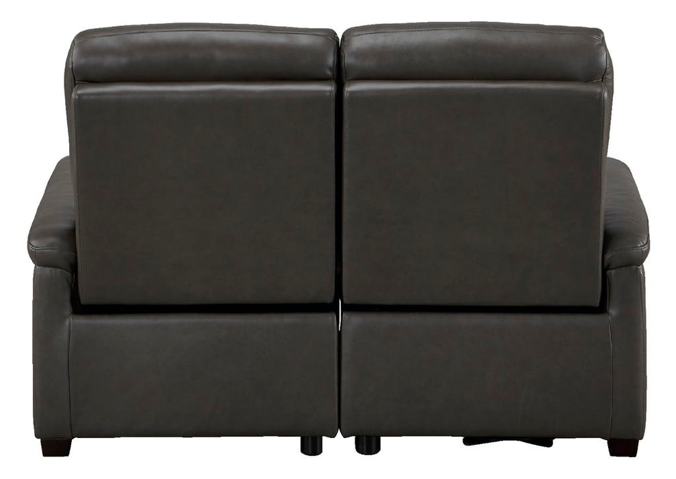 2S ELECTRIC SOFA N-BELIEVA DGY2-JHN76 TK-LEATHER