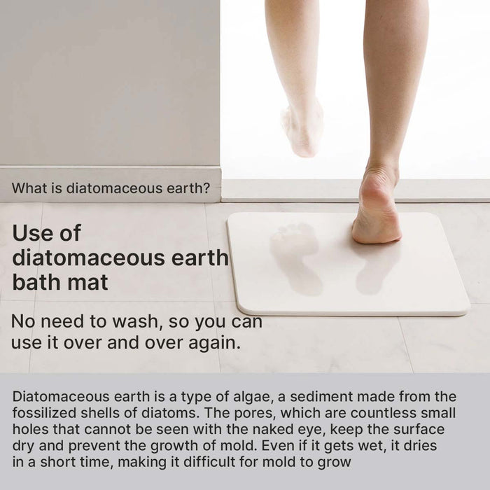 DIATOMITE BATH MAT DRY LGY 29X39