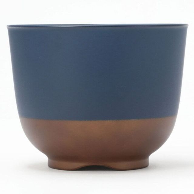 SOUP BOWL PW SLIM WAN PLUS NV D9.8XH7.5