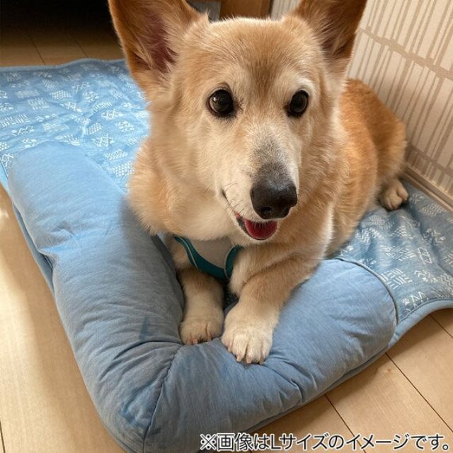 PET MAT N-COOL M-SQUARE S231