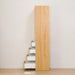 CABINET PORTE 40DH-R LBR2