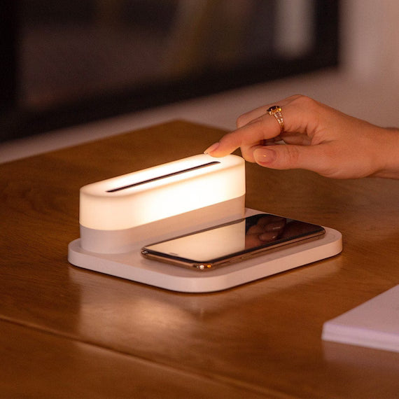 ĐÈN LED DI ĐỘNG WML01 WH