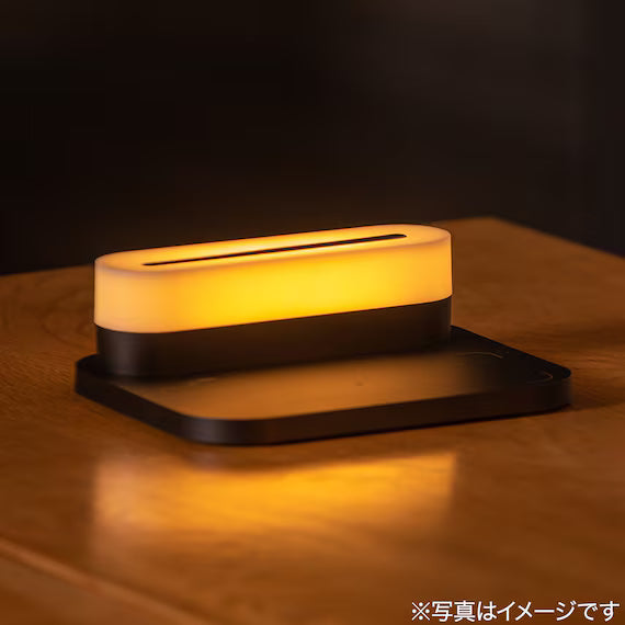ĐÈN LED DI ĐỘNG WML01 WH