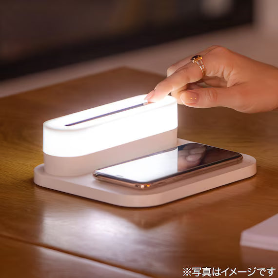 ĐÈN LED DI ĐỘNG WML01 WH