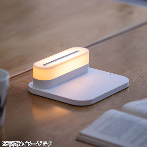 ĐÈN LED DI ĐỘNG WML01 WH
