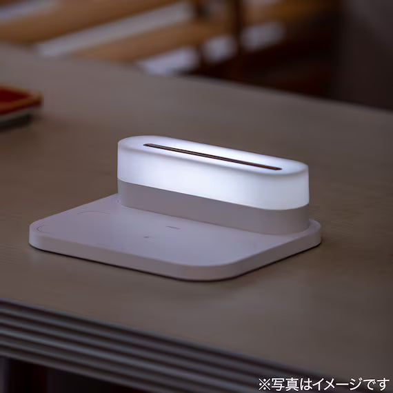 ĐÈN LED DI ĐỘNG WML01 WH