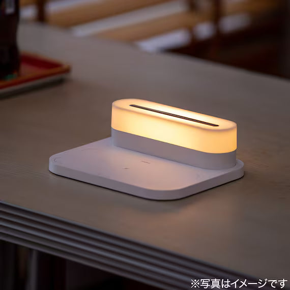 ĐÈN LED DI ĐỘNG WML01 WH