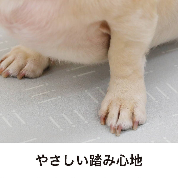 WATER ABSORBING MATS FOR PETS 600*300