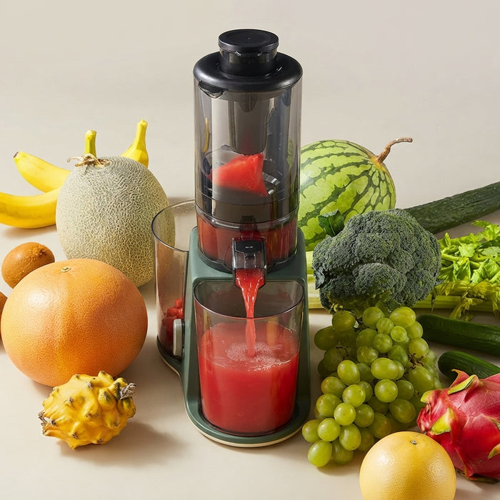 MULTI-FUNCTION SLOW JUICER BEAR YZJ-D01Y6