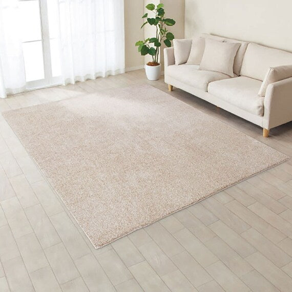 RUG PB SHAGGY BE 200X240