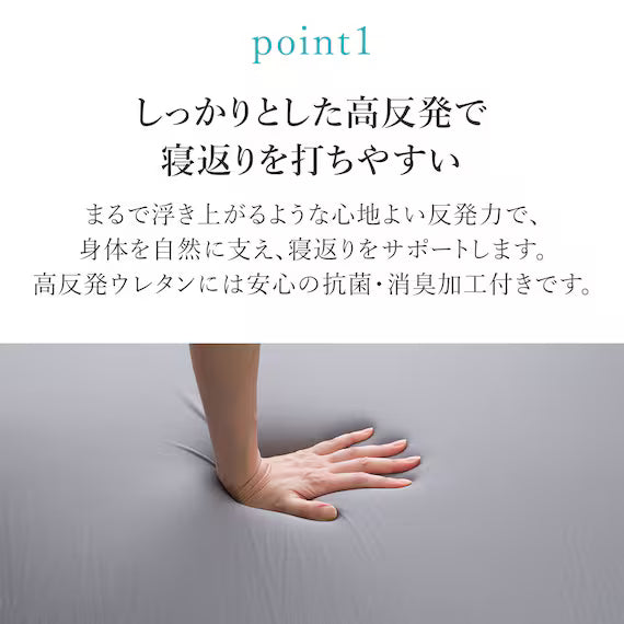 HIGH REPULSION MATTRESS PREMIER SUPPORT2 D