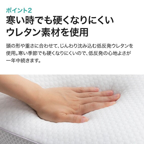DEODORIZATION LOW REPULSION PILLOW2 P2206