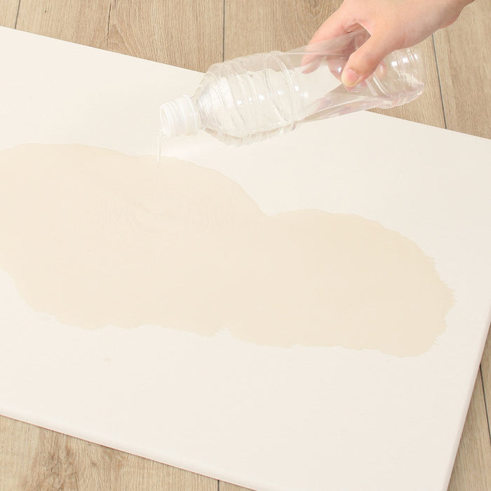 DIATOMITE BATH MAT DRY LGY 29X39