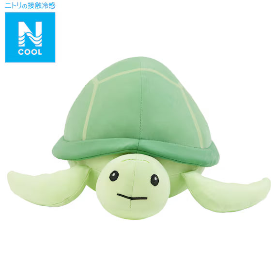 ĐỒ CHƠI NHỒI BÔNG HÌNH RÙA NCOOL S FA01 C-G