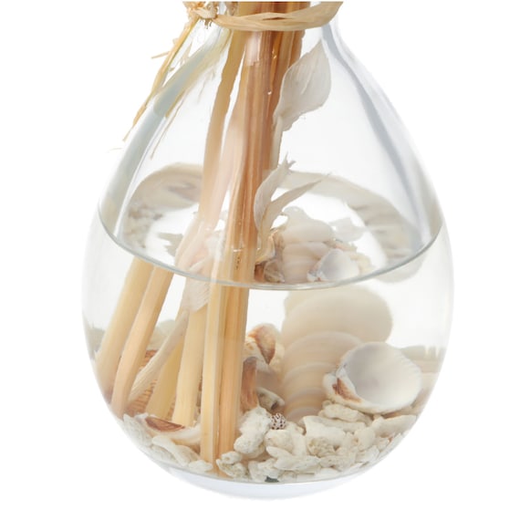 AROMA DIFFUSER ALAM SHELL