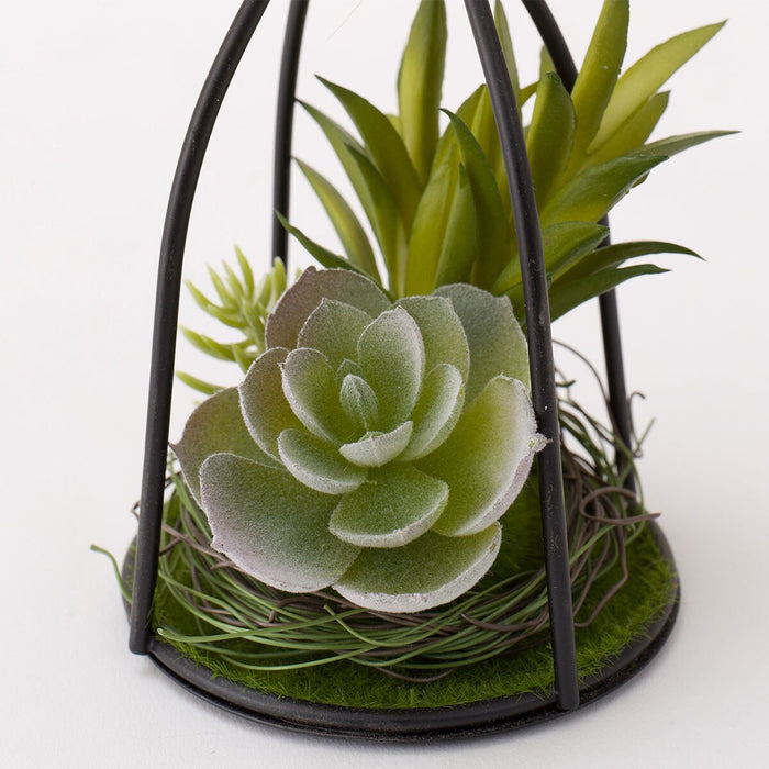 Succulent in Bottole Stand HA324831MIX