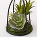 Succulent in Bottole Stand HA324831MIX