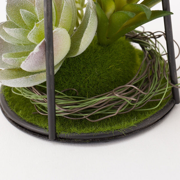 Succulent in Bottole Stand HA324831MIX