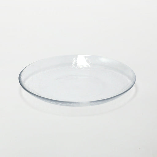 GLASS PLATE NTM09