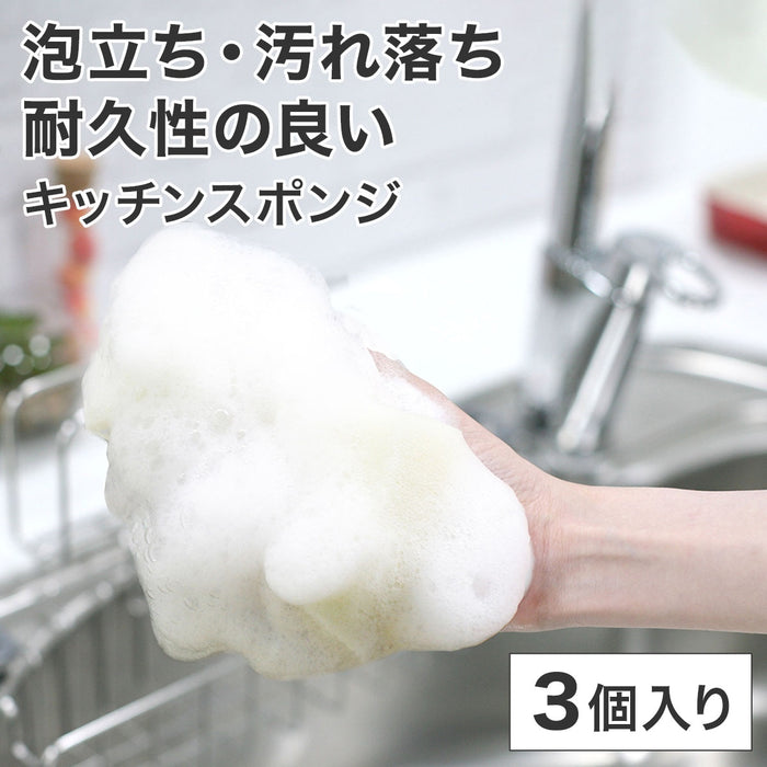 SPONGE 3P