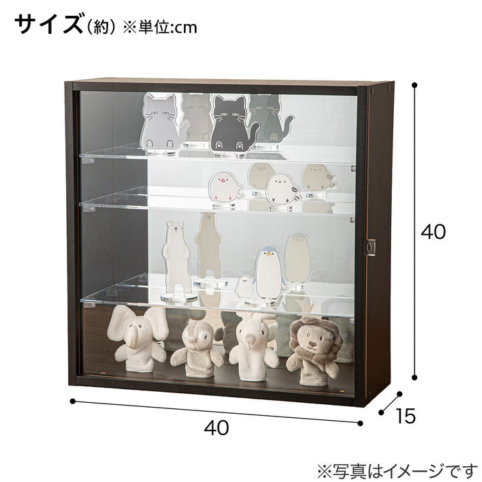 DISPLAY BOX HS L BK
