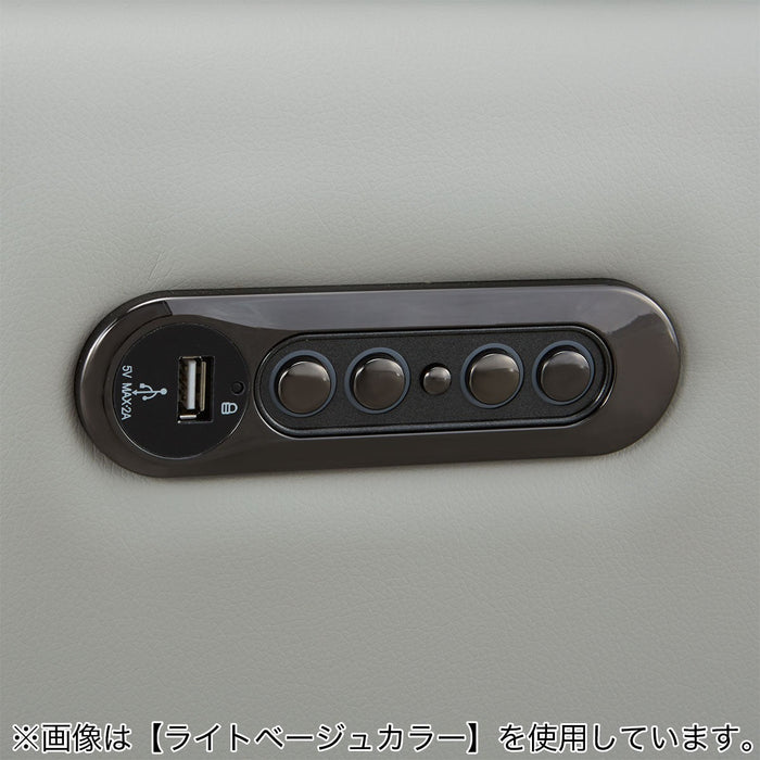 2M ELECTRIC 3P SOFA LS02 NW DMO