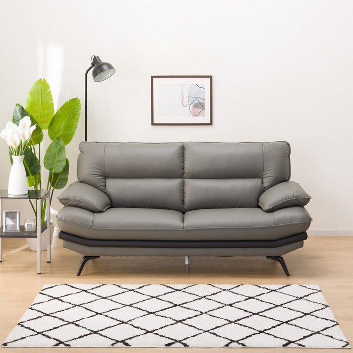 2.5P SOFA LOZO KD GY LEATHER