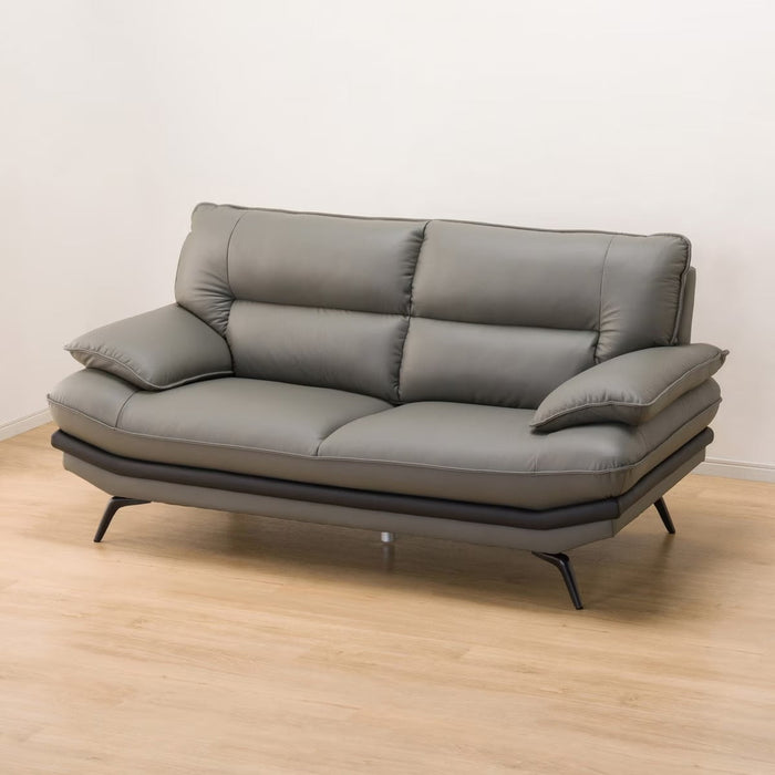 2.5P SOFA LOZO KD GY LEATHER